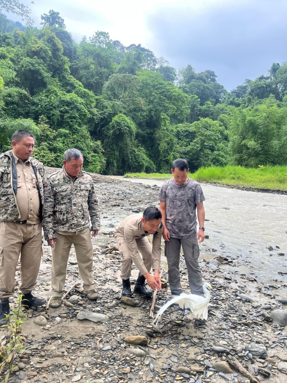 Forest officials pose for a photo during the release of the egret bird in Zunheboto on June 19.